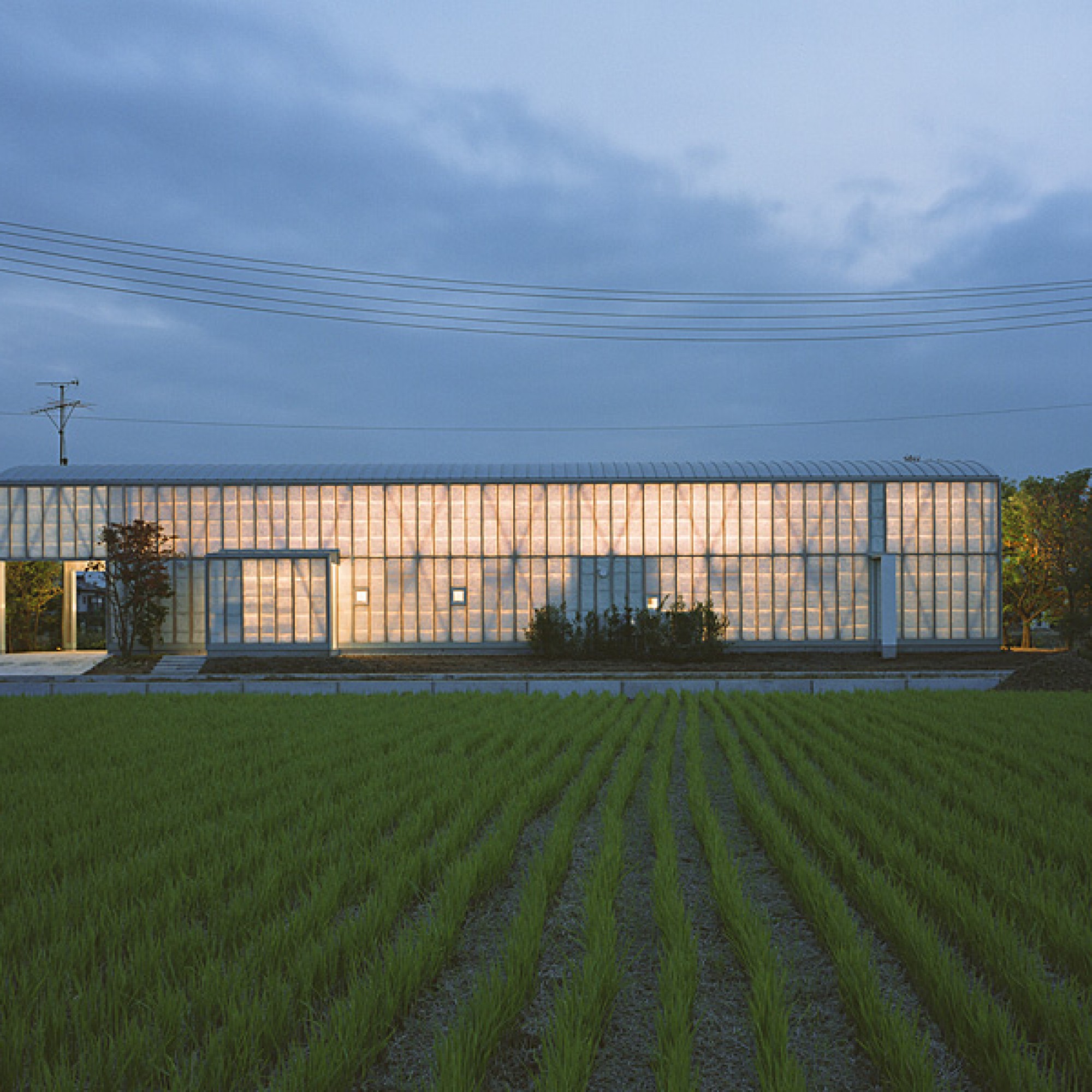 Naked House in Saitama, Japan (Bild: Hiroyuki Hirai)