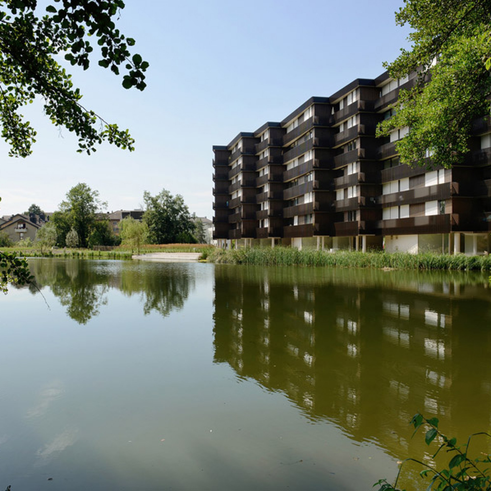 Der Neubau von Morger + Dettli reflektiert sich im Herterweiher. (Schweizer Heimatschutz)