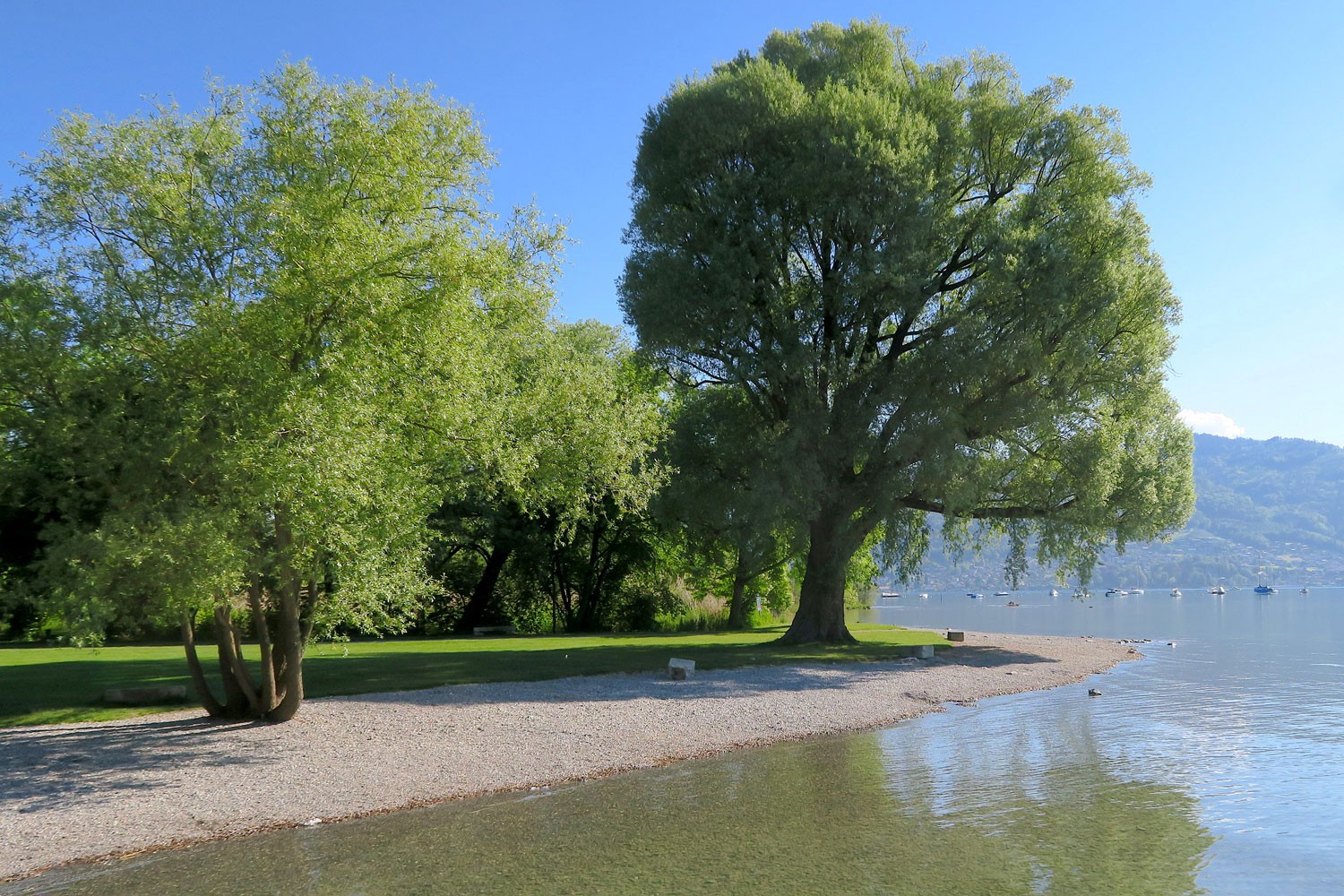 Bonstettenpark Uferzone