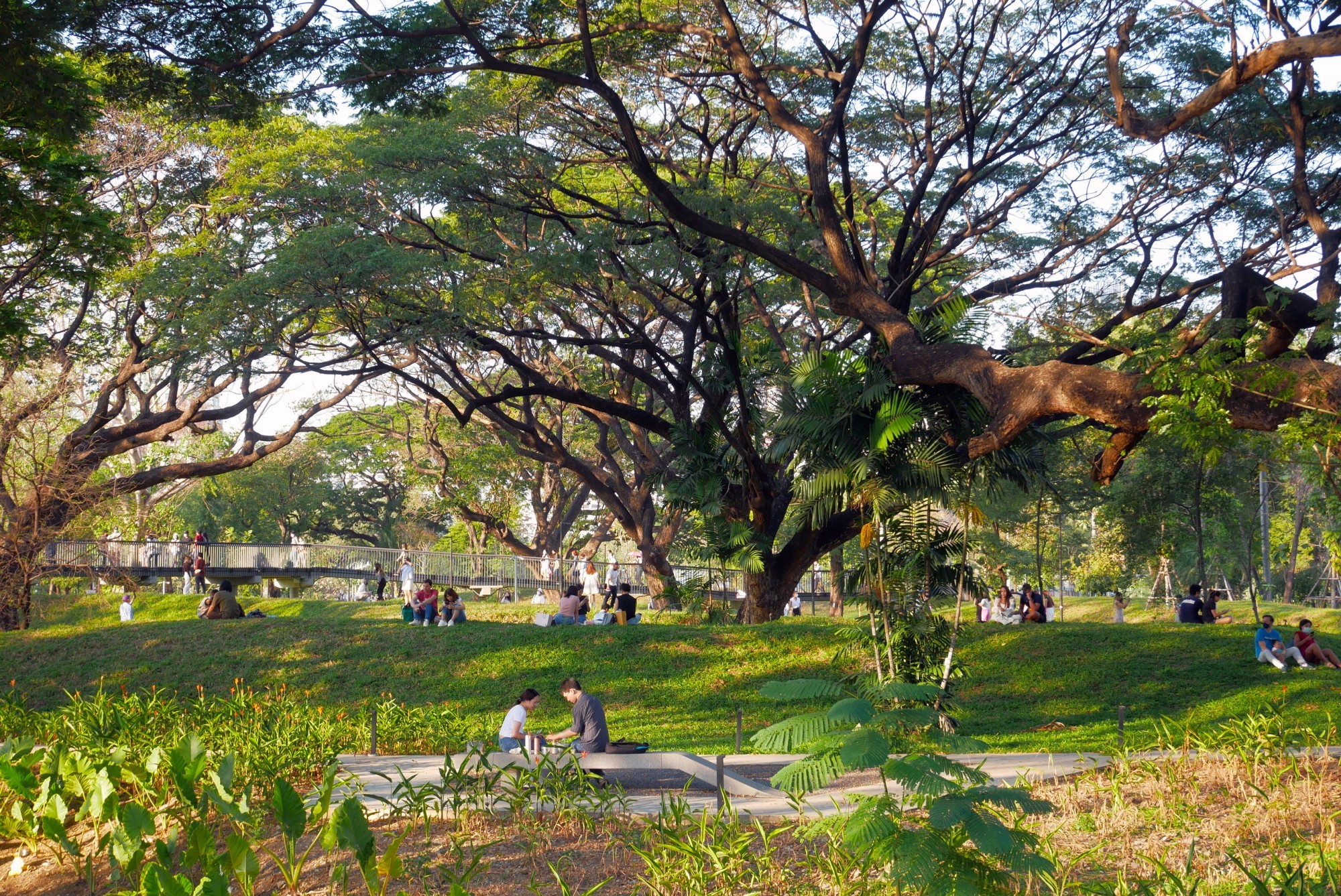 Benjakitti Forest Park