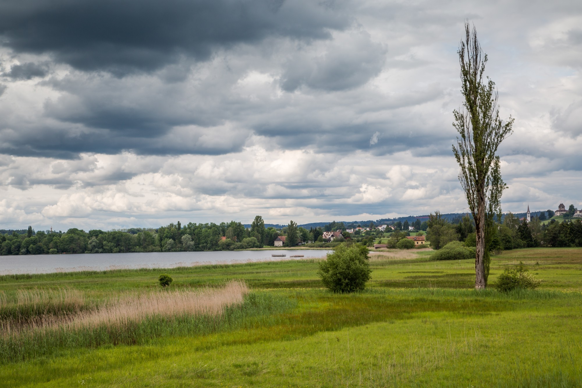 Greifensee