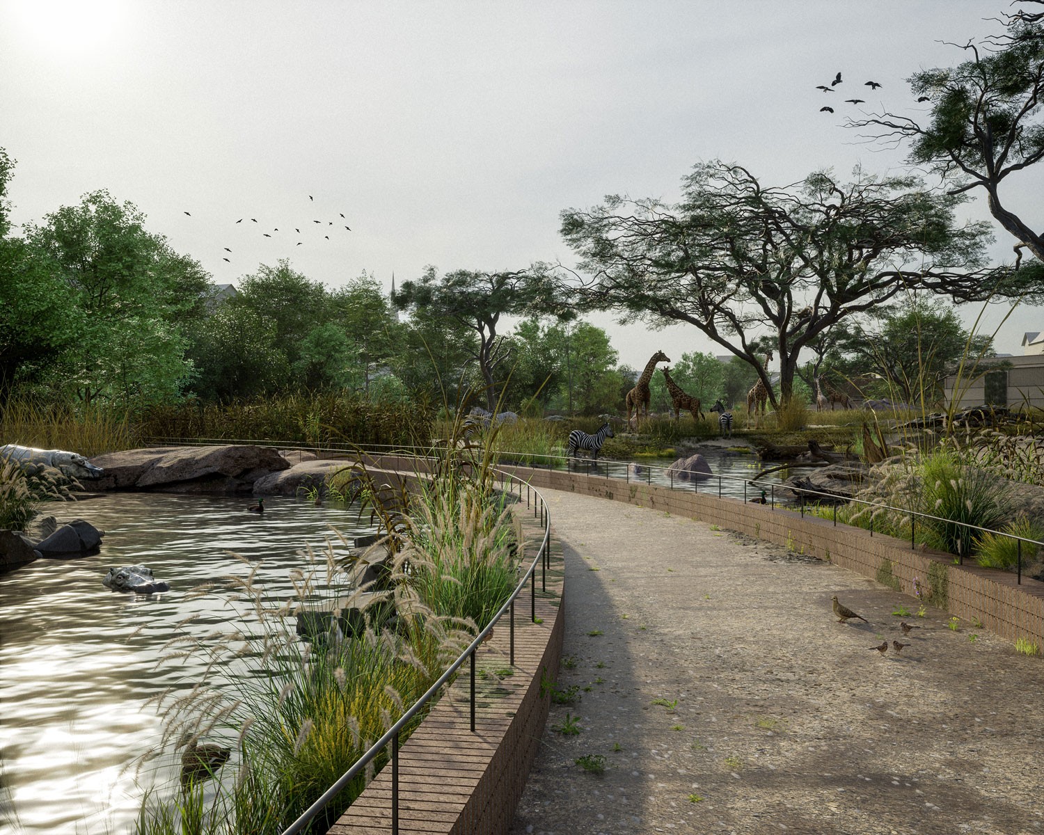 Zoo Basel Masterplan 2049 Savanne Flusspferde