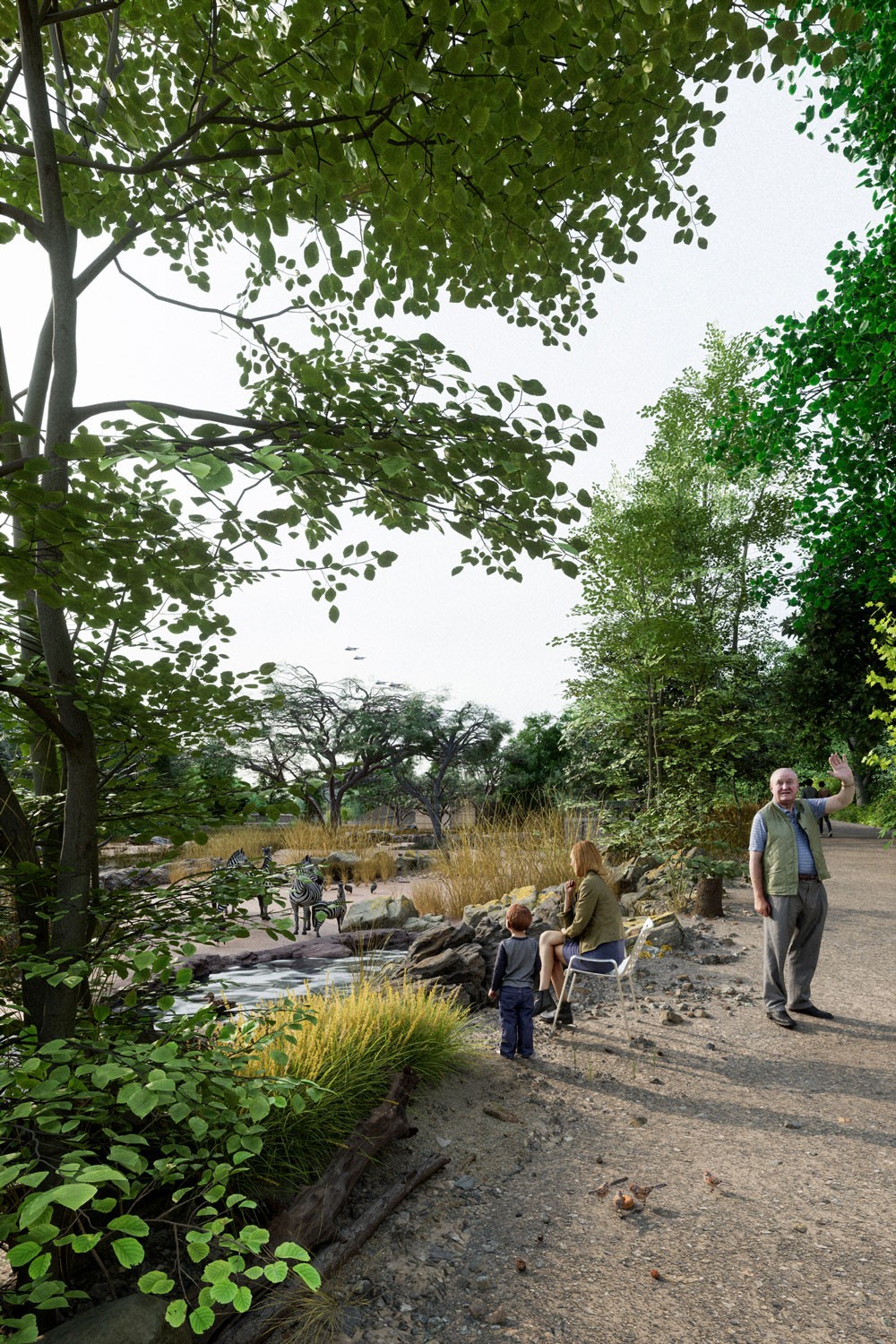 Zoo Basel Masterplan 2049 Savanne Zebra