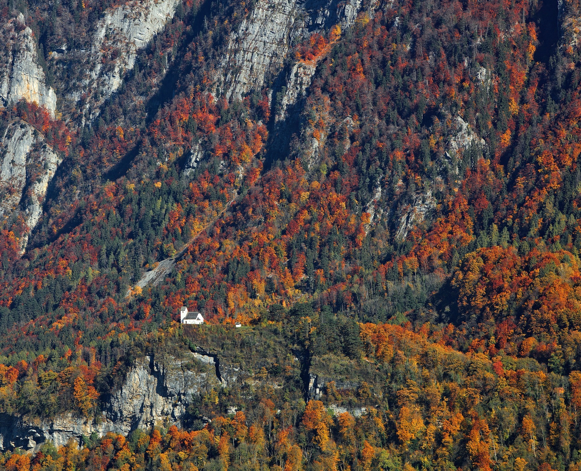 Wald bei Flums