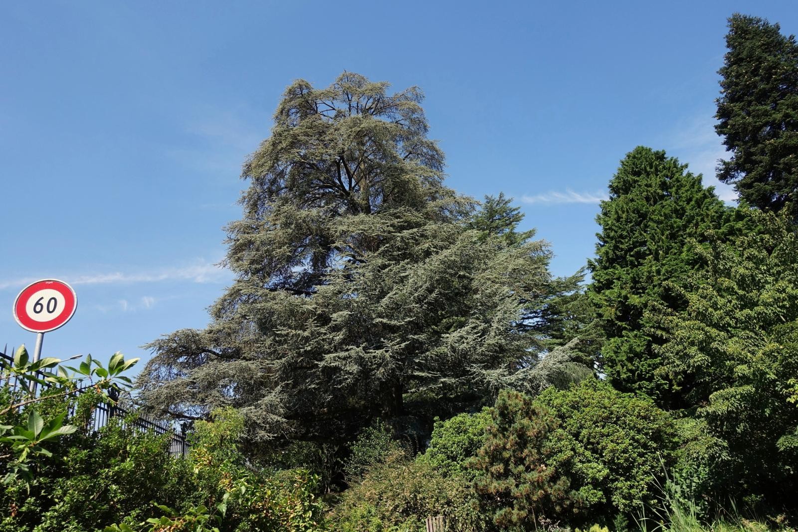 Jardin botanique alpin Gemeinde Meyrin