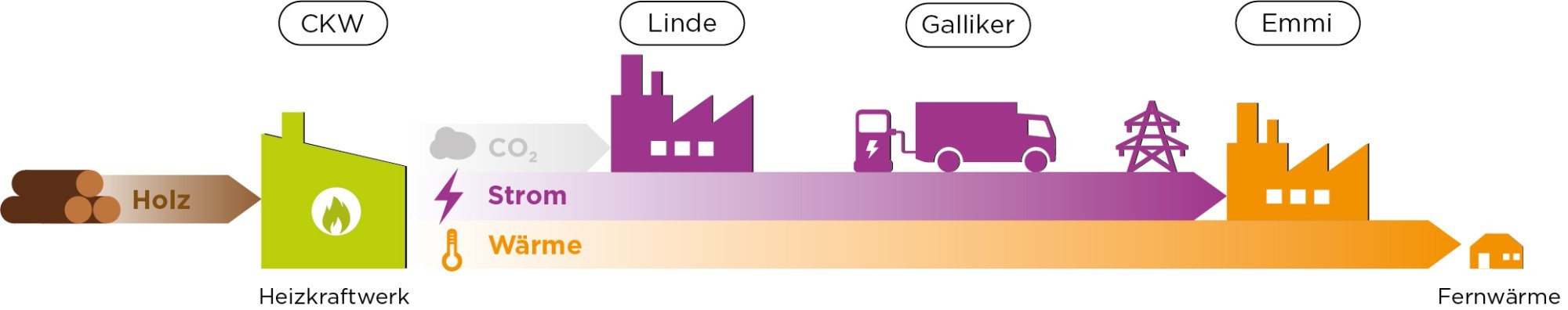 Grafik CKW Energie Ökosystem Dagmersellen