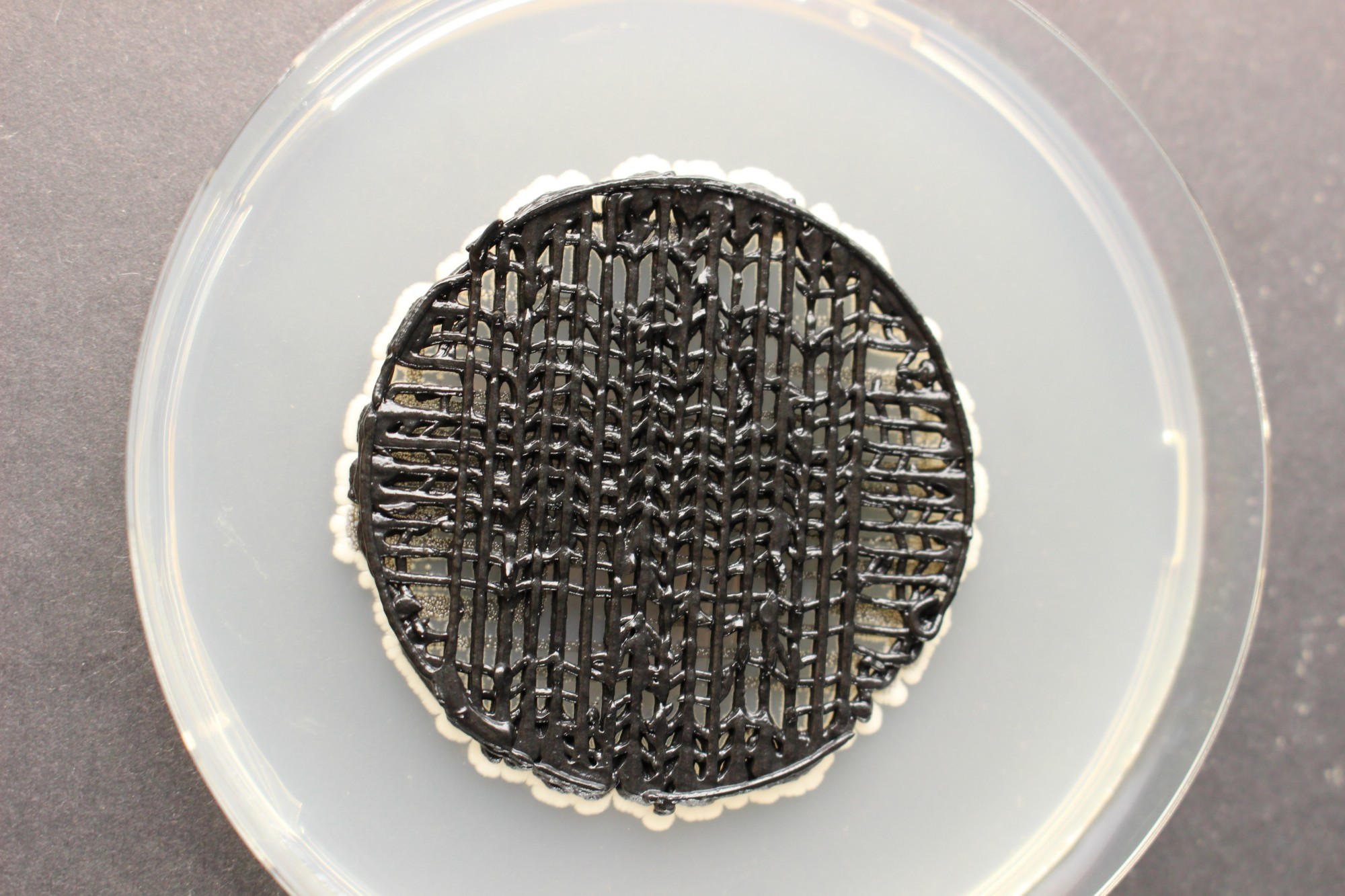 Pilzelektrode aus dem 3D-Drucker