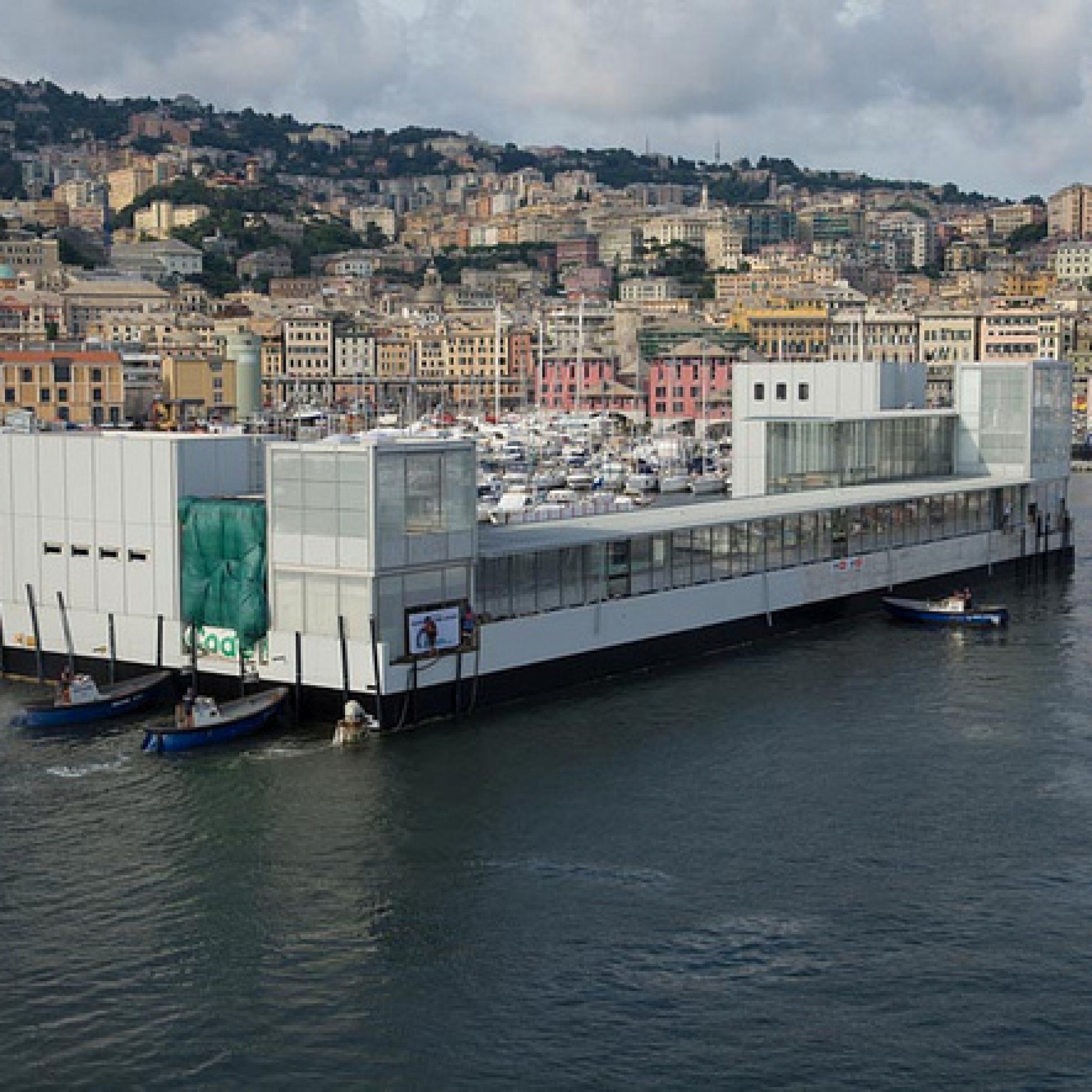 Das neue Wal-Aquarium ist eine Stahlkonstruktion, die von Renzo Piano entworfen und vom Ingenieurbüro Arup berechnet wurde. (Bild: zvg)