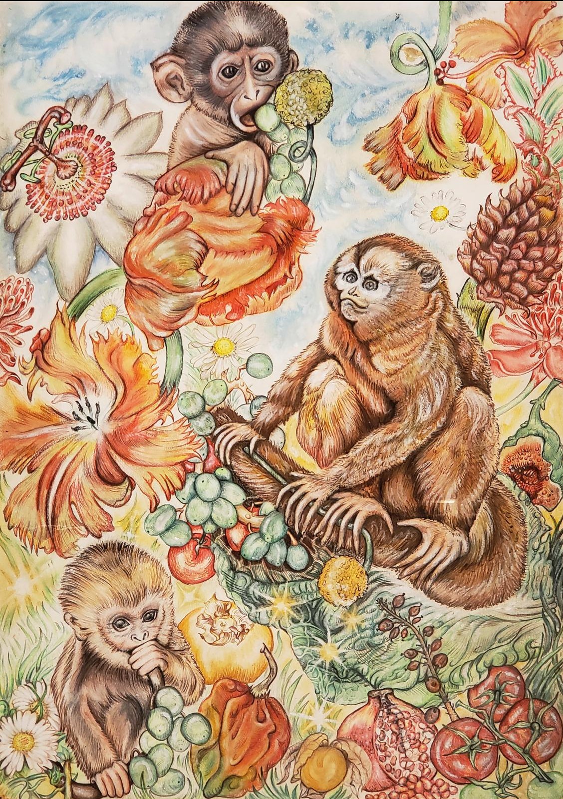 AB-Monkeys Ginny Litscher