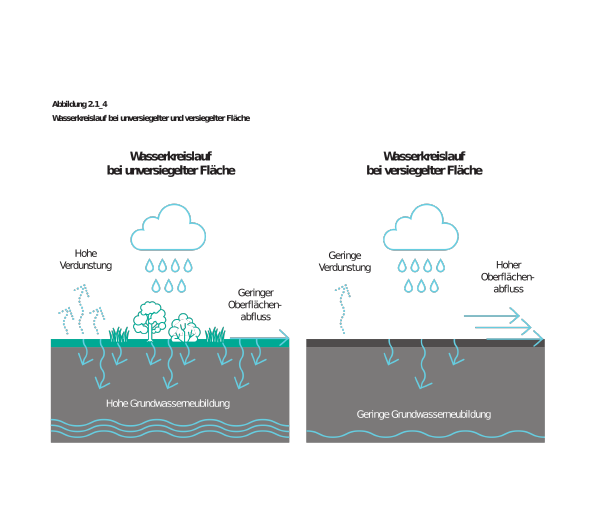 Wasserkreislauf (Grafik)