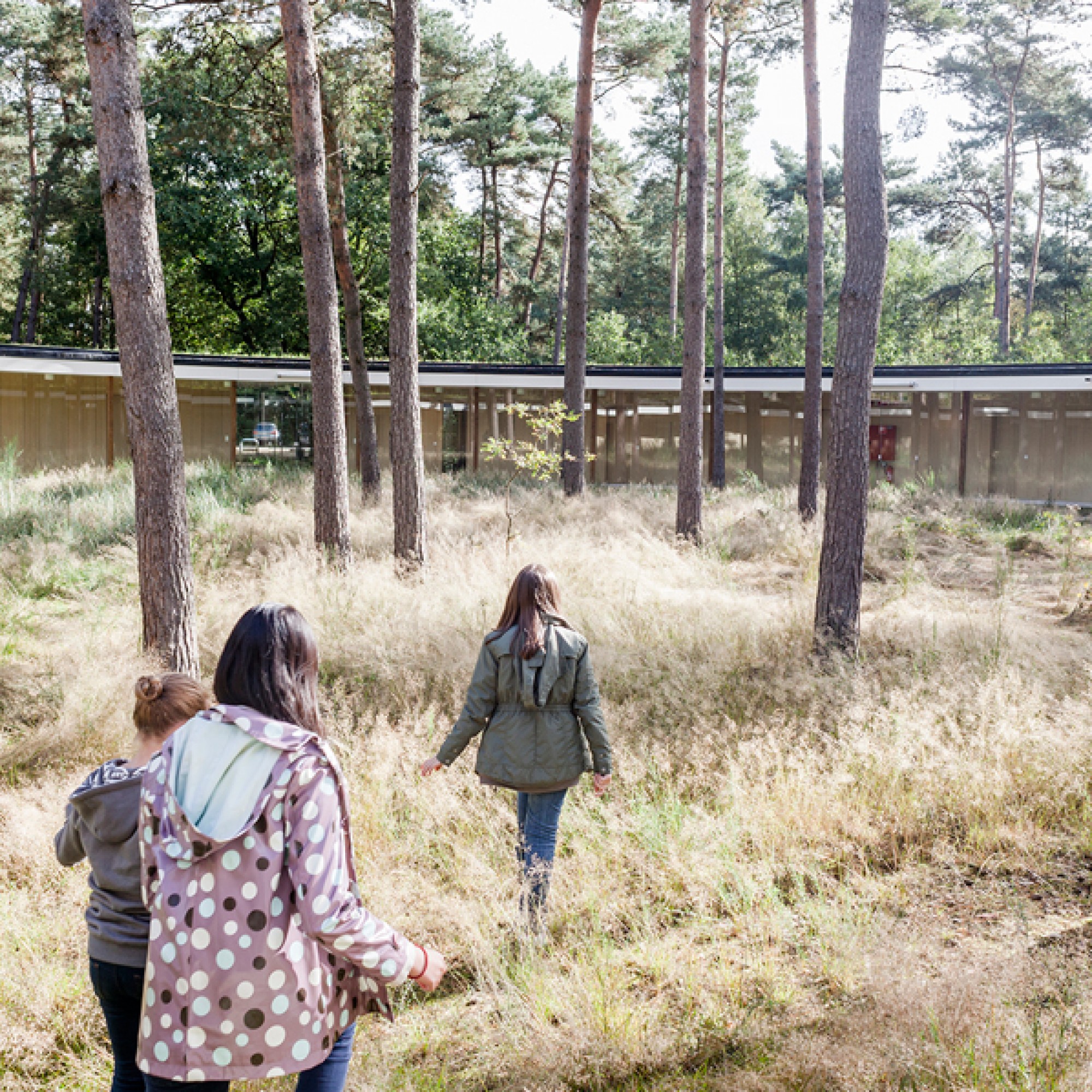 Hotel Wadi in Hoge Rielen, Belgien. Architekten: Studio Associato Bernardo Secchi - Paola Viganò. (Frederik Buyckx, miesarch.com, PD)