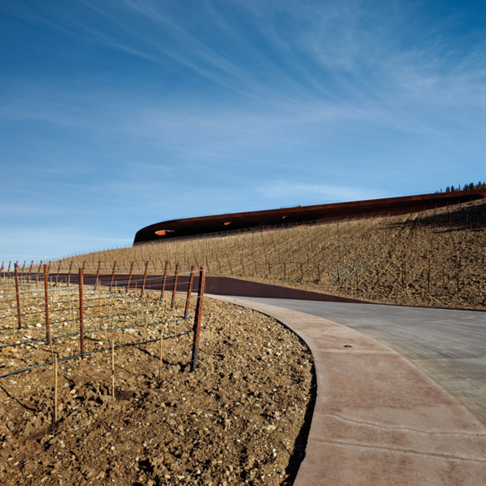 Antinori Weingut, Florenz, Italien. Architekten: Archea Associati (Pietro Savorelli, miesarch.com, PD) 