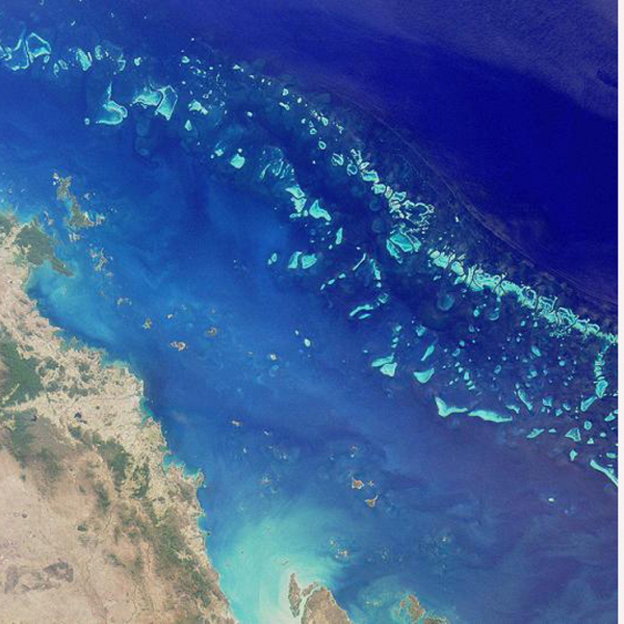 Das Great Barrier Reef hat eine Länge von 2300 Kilometern und eine Fläche von 347.800 Quadratkilometern. (Foto: Nasa, by MISR)  