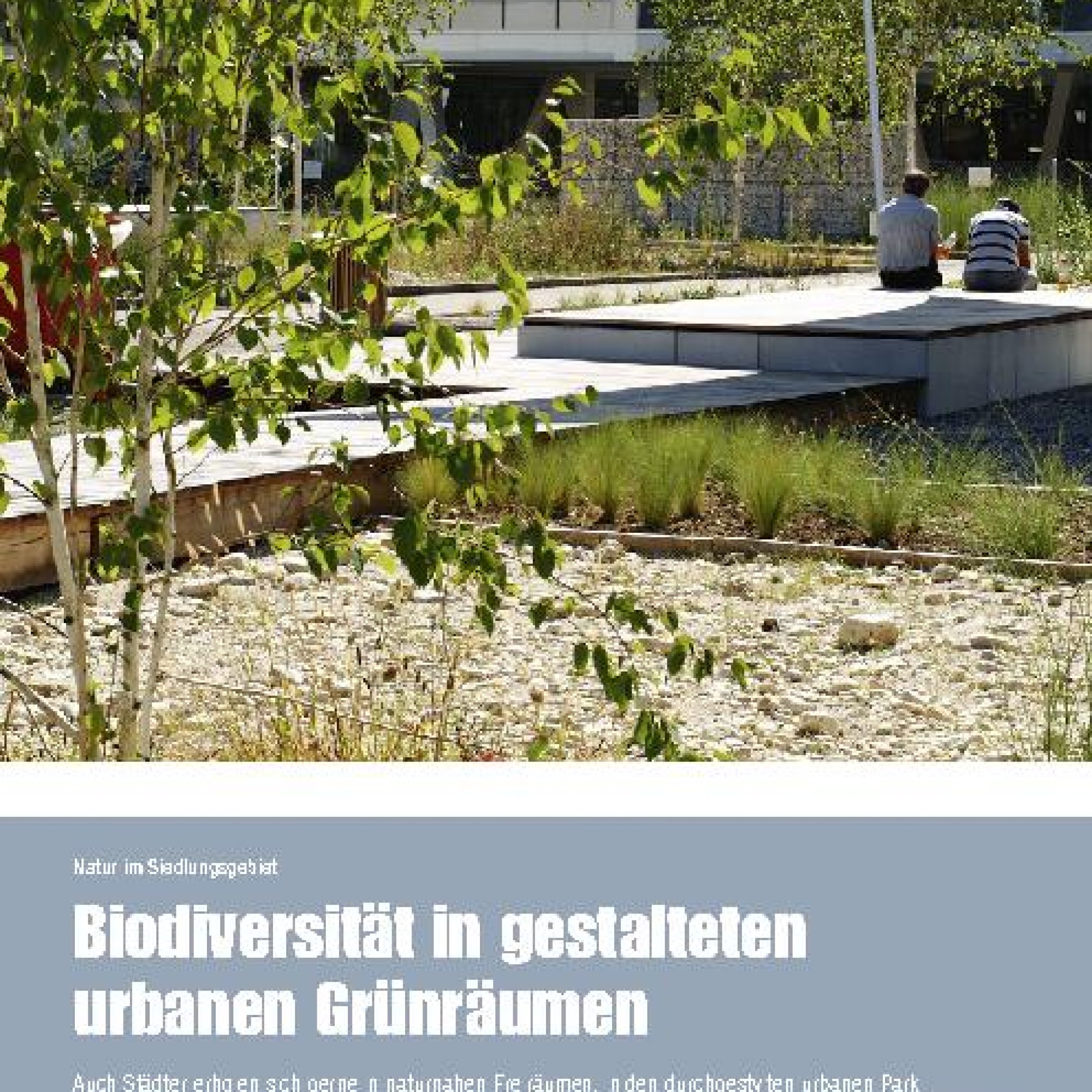 Natur Im Siedlungsgebiet: Biodiversität In Gestalteten Urbanen ...