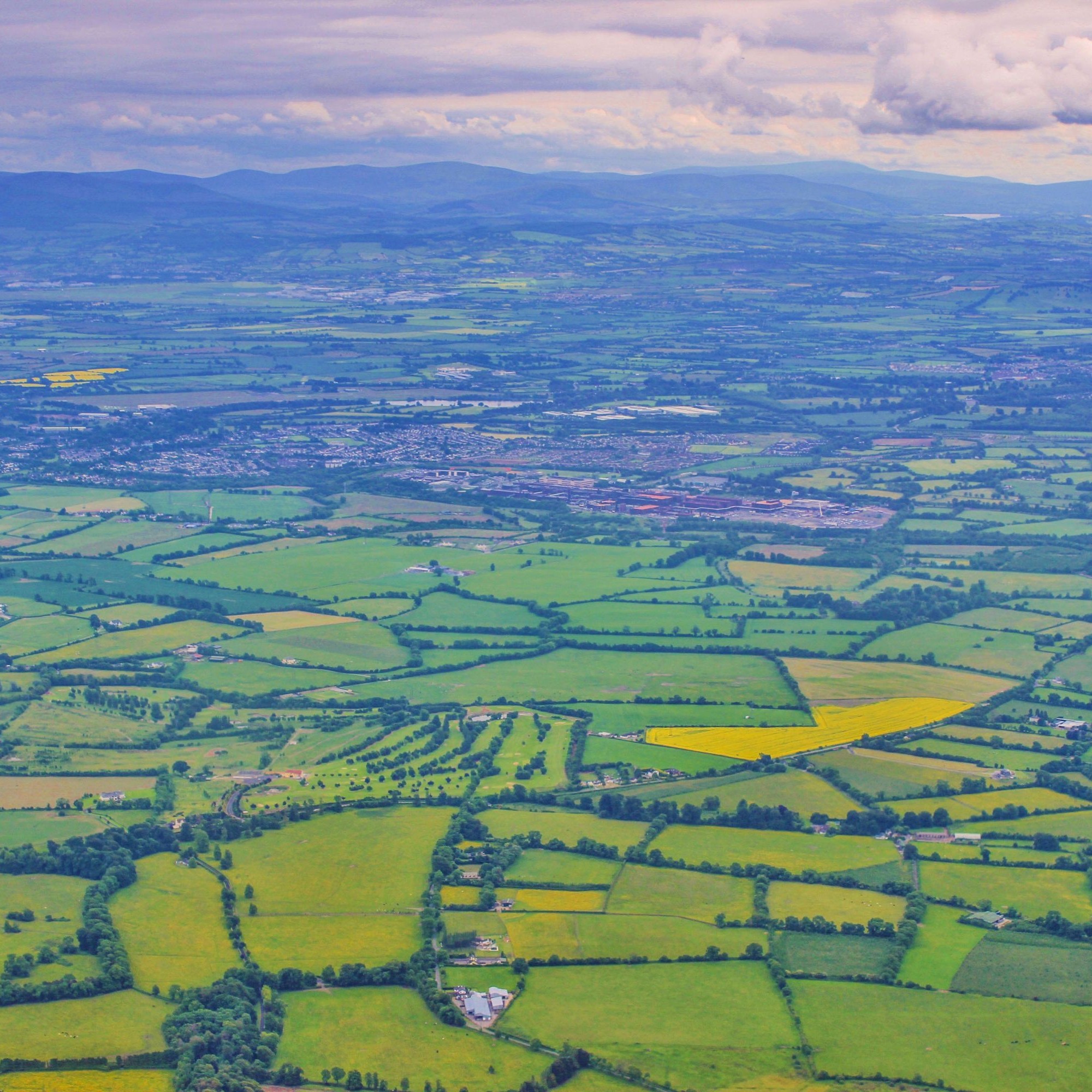 Luftbild von Feldern in Irland