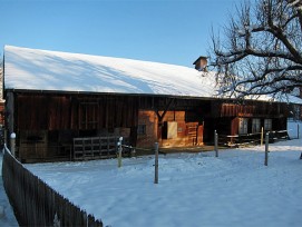 Tätschdachhaus am bisherigen Standort (Bild: IG Tätschdachhaus)