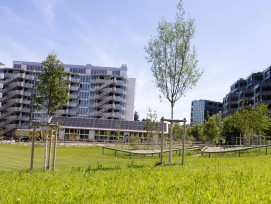 Neuer Quartierpark Guggach in Zürich-Unterstrass
