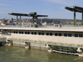 Neues Wasserkraftwerk Rheinfelden: Fischtreppen könnten hier die Fischgängigkeit erhöhen. (Bild: wikimedia, CC)