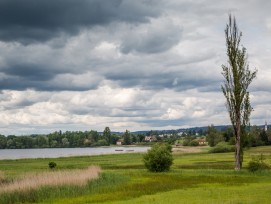 Greifensee