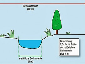 Berechnung des Gewässerraums bei einem 6 Meter breiten Gewässer (Bild: BAFU, Schweizer Bauer)