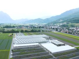 Agri-PV-Buchs Watt d'Or