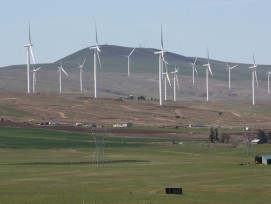 Windpark in Washington, Symbolbild (wikimedia.org, Walter Siegmund)