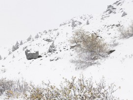 Antoine, Verbier (Quelle: Dylan Perrenoud, Bureau A)