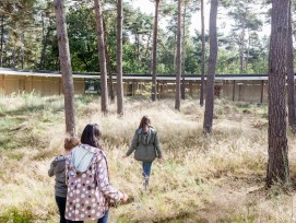 Hotel Wadi in Hoge Rielen, Belgien. Architekten: Studio Associato Bernardo Secchi - Paola Viganò. (Frederik Buyckx, miesarch.com, PD)