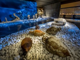 In seiner aktuellen Ausstellung lädt das Antikenmuseum Basel zu einem Tauchgang auf den Meeresgrund ein. (Antikenmuseum Basel)