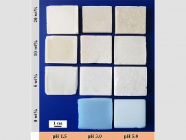 Je nach pH-Wert und Pektingehalt der Ausgangslösung unterscheiden sich die Hybrid-Aerogele in ihren Eigenschaften. (zvg)