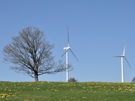   2011 war ein Rekordjahr für die Schweizer Windenergie. Auch auf dem Mont Crosin im Berner Jura. (Bild: Marcel Müller)