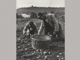 "Die dörfliche Schweiz", Ausstellung bis 5. November im Kornhausforum. (Fredo Meyer-Henn/Walter Studer, Staatsarchiv des Kantons Bern) 1/9