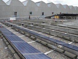Gut 30 Kilowattstunden Ertrag erzielt die Photovoltaikanlage auf dem Entsorgungshof Fellerstrasse – eines von zwei Pilotprojekten der Stadt Bern. 