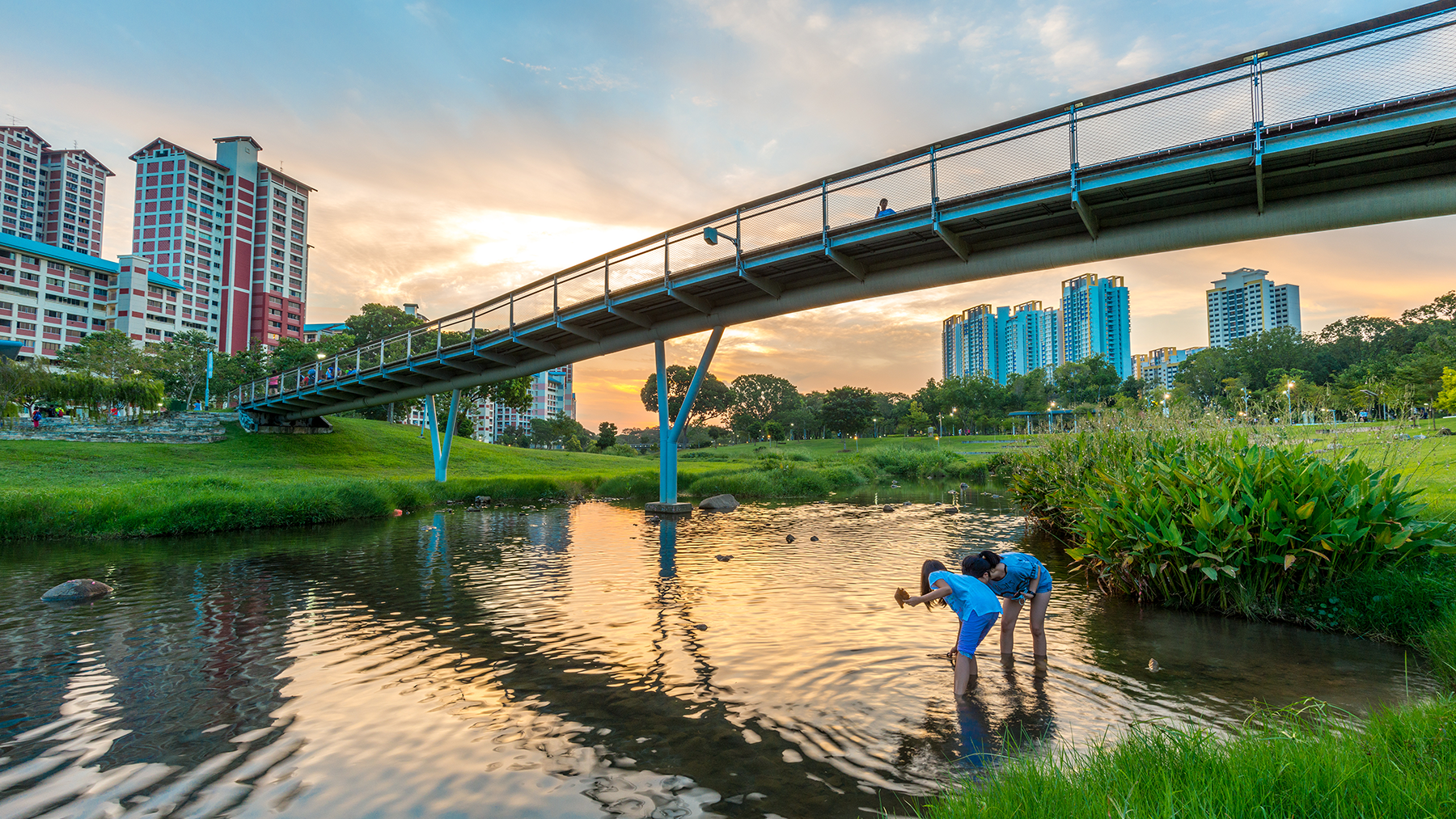 Bishan Ang Mo Kio Park